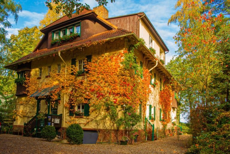 Hubertusallg-0005 (3) – Hubertus Boltenhagen Altes Haus mit buntem Herbstlaub bewachsen, unter blauem Himmel.
