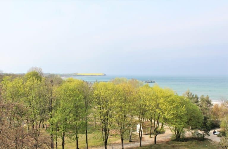 Küste mit blauem Meer, grünem Wald und klarem Himmel.