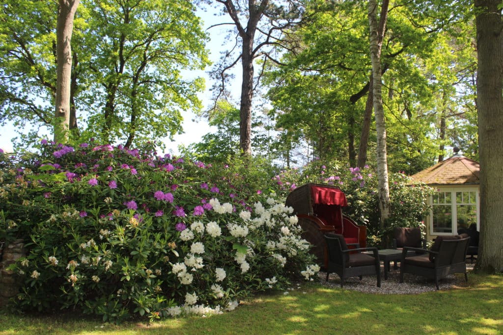 IMG_5345 – Hubertus Boltenhagen Ein Garten mit blühendem Rhododendron und einem roten Strandkorb im Schatten.