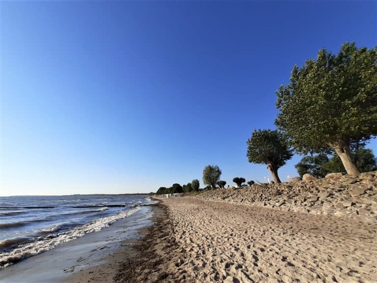 20220624_071603 (3) – Hubertus Boltenhagen Sandy beach with gentle waves and trees under a clear blue sky.