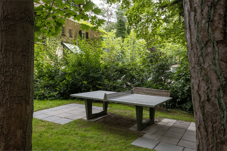 picture-2600 – Hubertus Boltenhagen Table tennis table in the green garden, surrounded by trees and bushes.