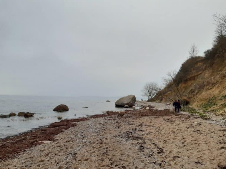 20211113_144110 – Hubertus Boltenhagen Pebble beach with rocks, cloudy skies and bare trees on the shore.