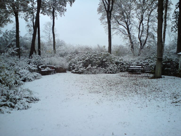 DSC00041 – Hubertus Boltenhagen Snow-covered park with trees and snow-covered benches.